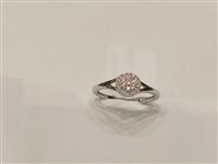 Anello Gazzola Gioielli Donna in Oro bianco 0.13 Ct FROT6783-NG - FROT6783-NG